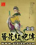 簪花紅袍傳