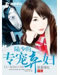陸少的專寵棄婦