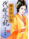 代嫁冷妃：傻王別心急！