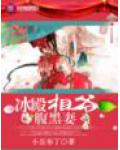 冰殿相爺腹黑妻