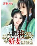 冷麵將軍的嬌妻