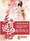 天貴逃妃之腹黑兩寶