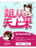 姐從天上來