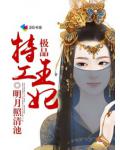 極品特工王妃