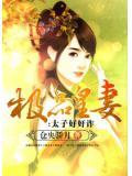 極品皇妻：太子好奸詐