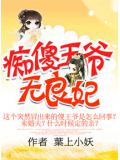 痴傻王爺無良妃