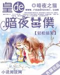 皇的暗夜女僕
