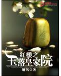 紅樓之玉落皇家院