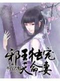 邪王獨寵天命妻