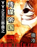yy之王三部曲之傳媒帝國