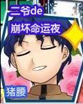 二爺的崩壞命運夜