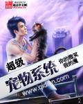 超級寵物系統