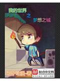 我的世界之夢想之城