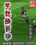 夢想綠茵場
