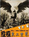 縱橫第二世界（寬子）