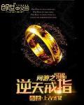網遊之逆天戒指