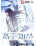 網遊之高手如林