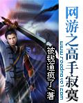 網遊之高手寂寞