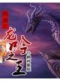 網遊之龍吟之王