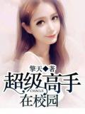 超級高手在校園