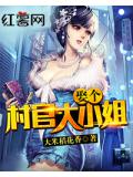娶個村官大小姐