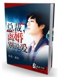 總裁離婚別說愛