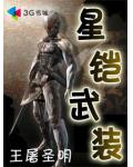 星鎧武裝