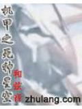 機甲之死神星空