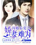 閃婚後愛之嬌妻難為