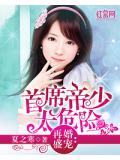 再婚盛寵：首席帝少太危險