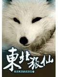 東北狐仙