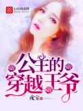 公主的穿越王爺