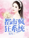 都市瘋狂系統