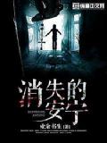 消失的安寧