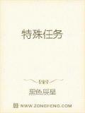 特殊任務