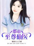 都市至尊仙醫
