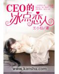 CEO的冰點戀人