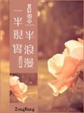 一半現實一半浪漫