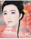 一夜棄妃