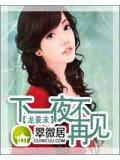下一夜,不再見