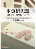 不負相思意