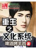 重生之文化系統