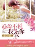偏偏不說我愛你