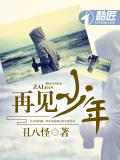 再見少年