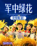 軍中綠花