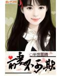 前妻不可欺
