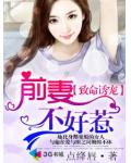 前妻不好惹