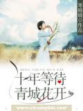 十年等待青城花開