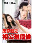 反穿越之相公難伺候