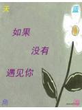 如果沒有遇見你